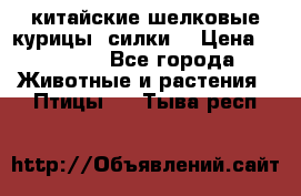 китайские шелковые курицы (силки) › Цена ­ 2 500 - Все города Животные и растения » Птицы   . Тыва респ.